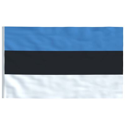 vidaXL Estlands flag og flagstang 6,2 m aluminium