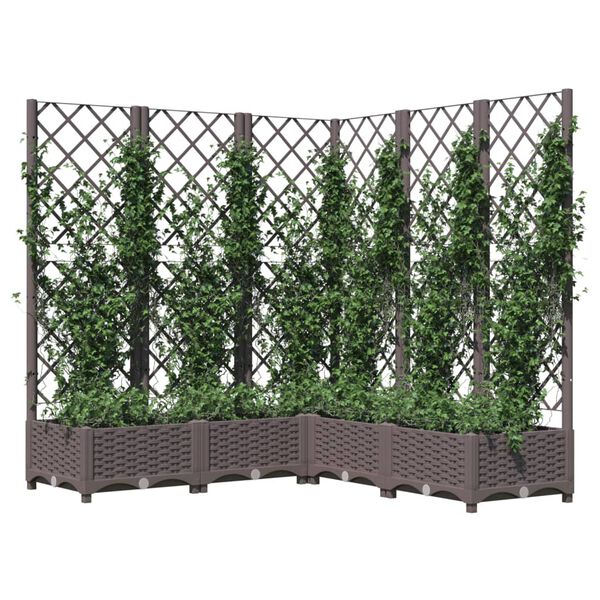vidaXL plantekasse med espalier 120x120x121,5 cm PP brun