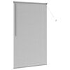 vidaXL Persienner S&oslash;lv 175 x 105 cm Aluminium