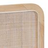 vidaXL Hovedgærde med hovedgærde Naturfarvet 100 x 55 x 3 cm Rattan
