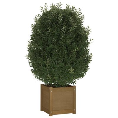 vidaXL plantekasse 40x40x40 cm massivt fyrretræ gyldenbrun