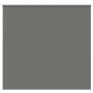 vidaXL rullegardin m&oslash;rkl&aelig;gning 165x130 cm stofbredde 161,6cm polyester