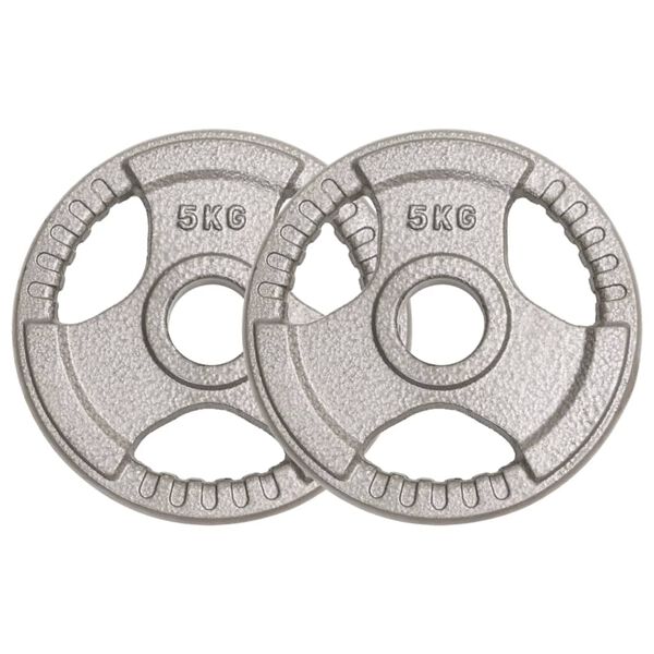 vidaXL olympiske v&aelig;gtskiver 2 stk. 10 kg st&oslash;bejern