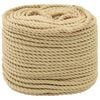vidaXL Multifunktionelt universaltov 6 mm 100 m Naturfarvet PP