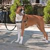PetSafe hundesele Easy Walk L sort