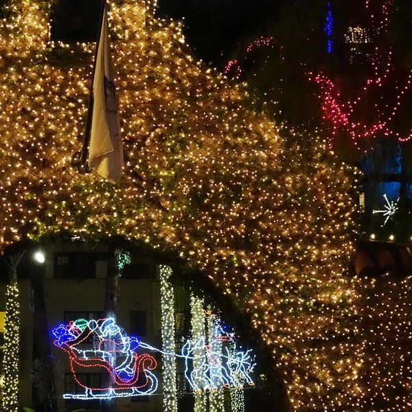 vidaXL Led net M&oslash;rkegr&oslash;n