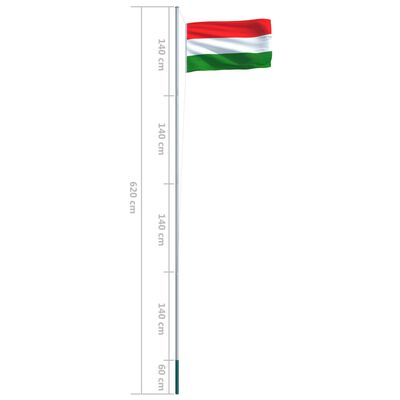 vidaXL Ungarns flag og flagstang 6,2 m aluminium