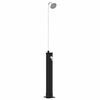 vidaXL Solbruser med Brusehoved 20 l PVC, ABS, Zinklegering Sort