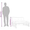 vidaXL midtermodul til sofa 120x80 cm imprægneret fyrretræ