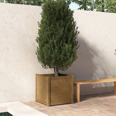 vidaXL plantekasse 60x60x60 cm massivt fyrretræ gyldenbrun