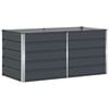 vidaXL Plantekasse Antracit 160 x 80 x 75 cm St&aring;l