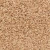 vidaXL trappem&aring;tter 15 stk. 56x17x3 cm beige halvrunde