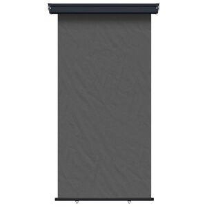 vidaXL Balkon Sidesk&aelig;rm 117 x 250 cm 100% polyester jern st&aring;l Antracit