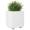 vidaXL plantekasse 40x40x49,5 cm massivt fyrretræ hvid