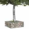 vidaXL Gabion h&oslash;jbed S&oslash;lv 60 x 60 x 20 cm Galvaniseret st&aring;l