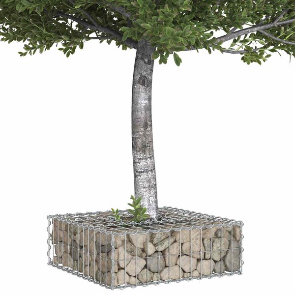 vidaXL Gabion h&oslash;jbed S&oslash;lv 60 x 60 x 20 cm Galvaniseret st&aring;l