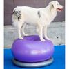 FitPaws balancebold til k&aelig;ledyr TRAX Donut 55 cm lilla