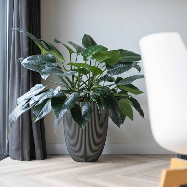 Capi elegant krukke Groove 34x46 cm antracitgr&aring;