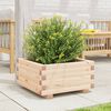 vidaXL plantekasse 50x50x26,5 cm massivt fyrretr&aelig;