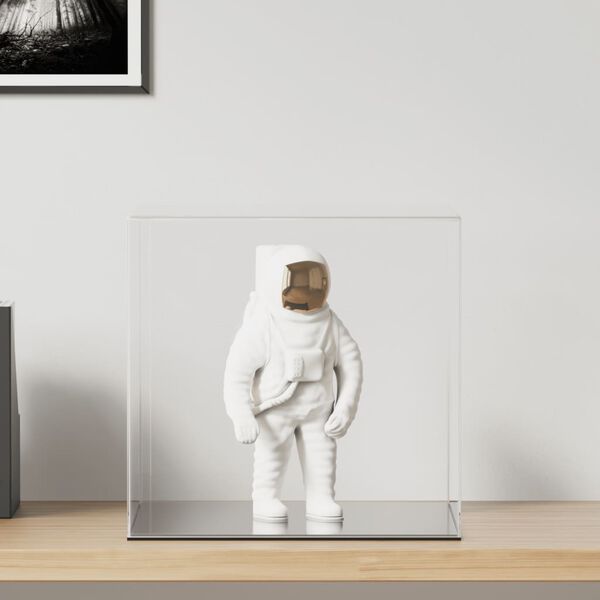 vidaXL montre 40x36x35 cm akryl transparent