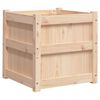 vidaXL plantekasse 50x50x50 cm massivt fyrretr&aelig;