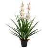 vidaXL kunstig Cymbidium-orkid&eacute; med krukke 100 cm gr&oslash;n