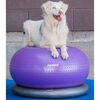 FitPaws balancebold til k&aelig;ledyr TRAX Donut 55 cm lilla