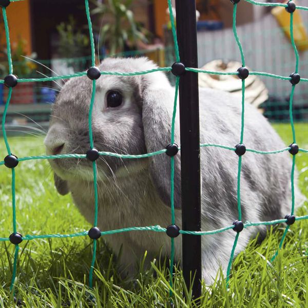 Kerbl strømførende kaninnet 65 cm 292209