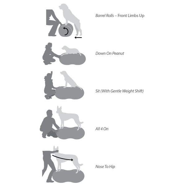 FitPAWS balanceplatform til k&aelig;ledyr Trax Peanut 60 cm bl&aring;