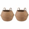 vidaXL Plantekrukke med h&aring;ndtag 2 pcs Naturfarvet &Oslash; 32 x 32 cm