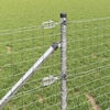 Produktminiaturebillede 5 af 17