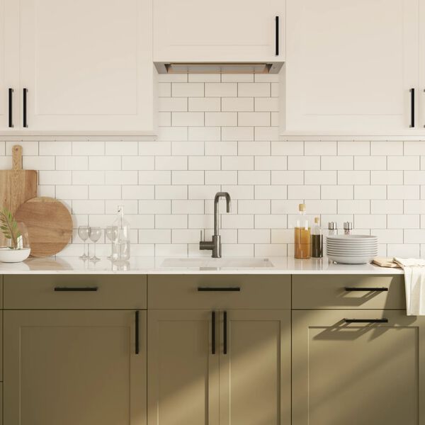 vidaXL skabsh&aring;ndtag 10 stk. 160 mm rustfrit st&aring;l sort