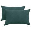 vidaXL Sofapuder 2 pcs M&oslash;rkegr&oslash;n 60 x 40 cm Velourstof