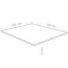 vidaXL Acyrlglas Plader Transparent 40 x 60 cm Akryl