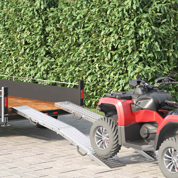 vidaXL Lad Ramp 2 pcs S&oslash;lv 186 x 23 x 4,5 cm Galvaniseret st&aring;l