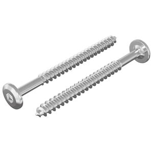 vidaXL Tr&aelig;skruer 2 stk. S&oslash;lv M6 x 70 mm St&aring;l