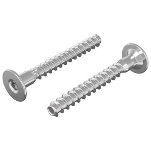 vidaXL Bekr&aelig;ftelsesskruer 2 stk. S&oslash;lv &Oslash;5 x 40 mm Metal