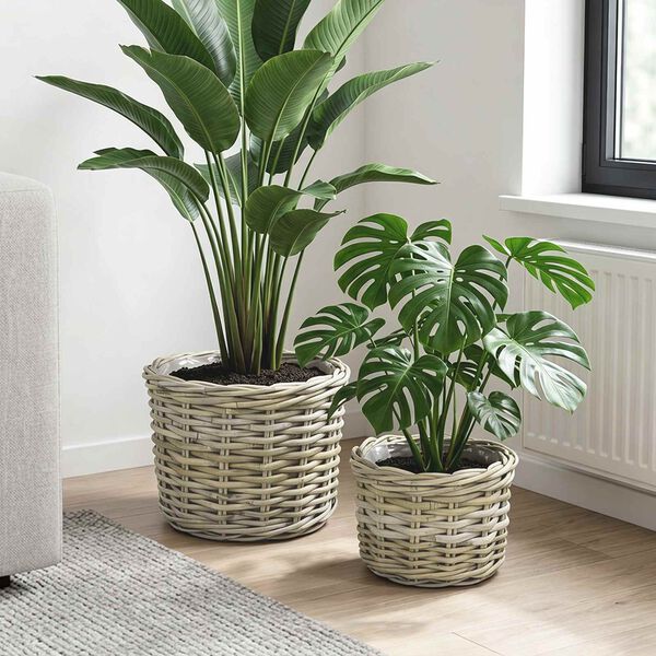 Viser produktbillede 2 af 10
