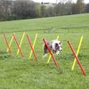 Kerbl tr&aelig;ningss&aelig;t til hundeagility r&oslash;d 80758