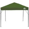 vidaXL Canopy Tent Gr&oslash;n 243 x 243 x 251 cm Stof