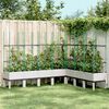vidaXL plantekasse med espalier 200x160x142,5 cm PP hvid