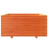 vidaXL plantekasse 100x100x49,5 cm massivt fyrretr&aelig; gyldenbrun
