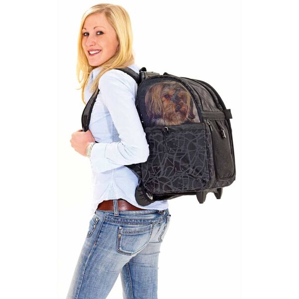 FLAMINGO kæledyrstrolley Izzie 32x29x52 cm sort 31392