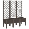 vidaXL plantekasse med espalier 120x40x142 cm PP brun