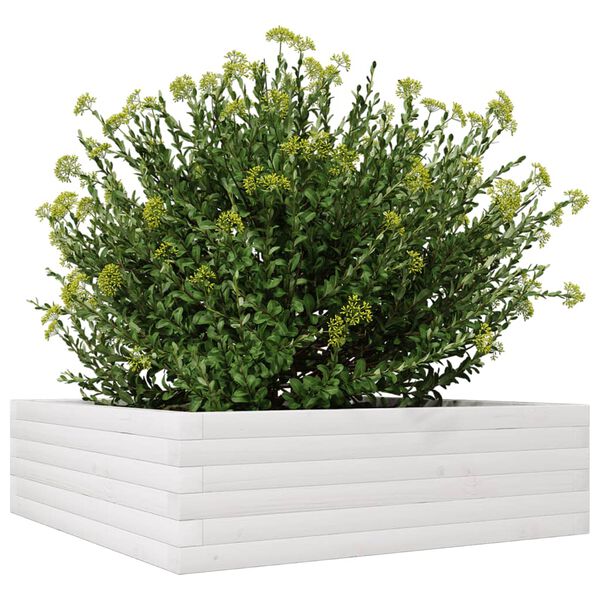 vidaXL plantekasse 80x80x23 cm massivt fyrretr&aelig; hvid