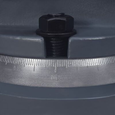 vidaXL skruestik på drejeplade støbejern 100 mm