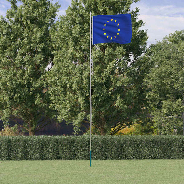 vidaXL Europaflag og flagstang 6,08 m aluminium