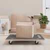 vidaXL m&oslash;belhunde 2 stk. 80x55x11,5 cm 250 kg rektangul&aelig;r