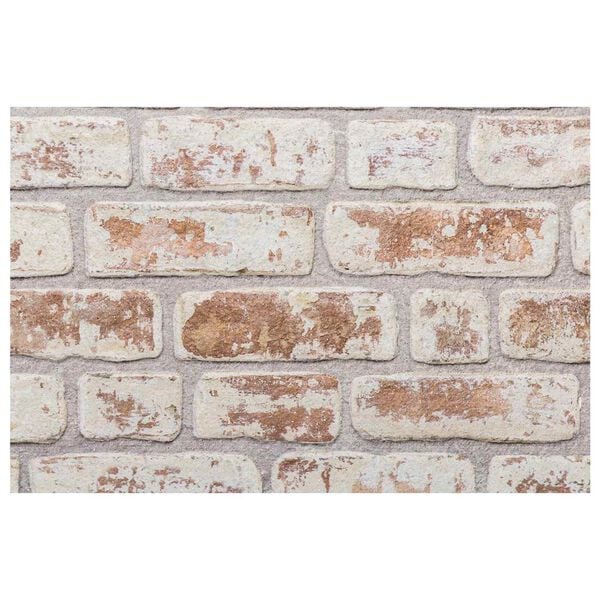 vidaXL V&aelig;gpaneler 10 pcs R&oslash;d og Hvid 100 x 50 cm EPS Skum