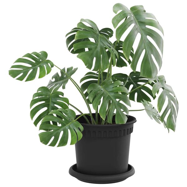 Viser produktbillede 3 af 12